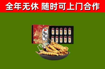 南阳市回收冬虫夏草价格